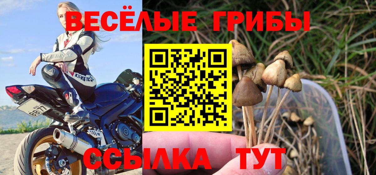 Псилоцибиновые грибы мицелий  Вход с VPN  Вятские Поляны 